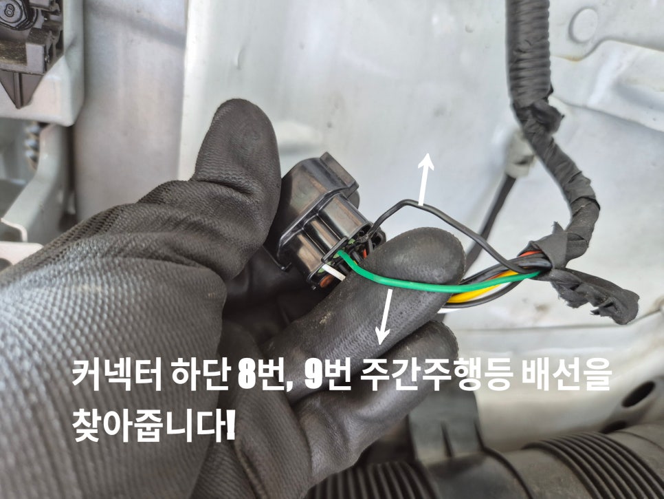 SE-10e8c38b-f7bb-495f-808f-9f6cb77000fb.jpg