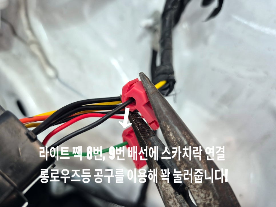 SE-b34aa390-0dee-4855-8e6f-9de762cbe886.jpg